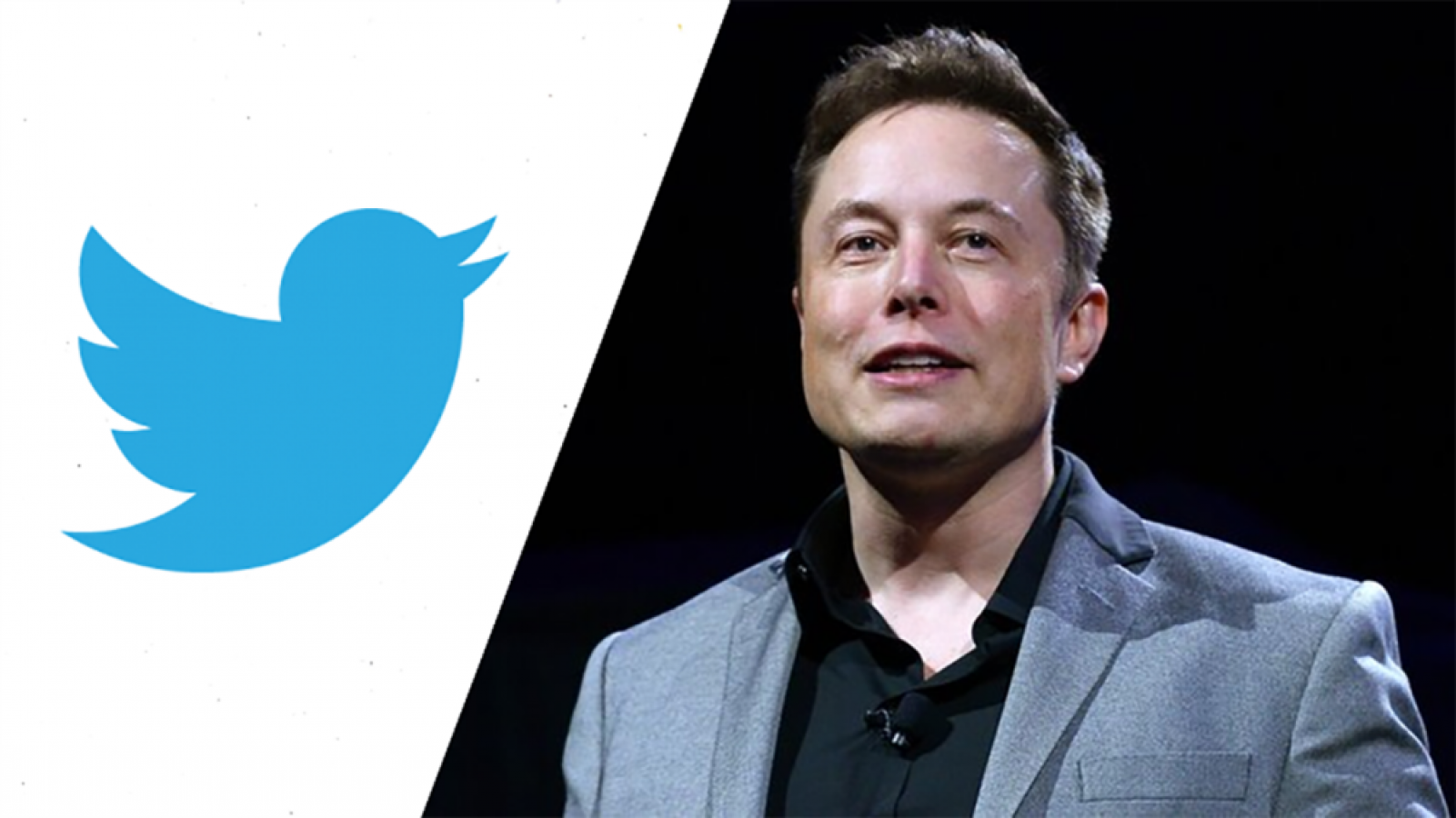 Elon Musk duyurdu! Tweetlerinizin gücünü artık görebileceksiniz...;