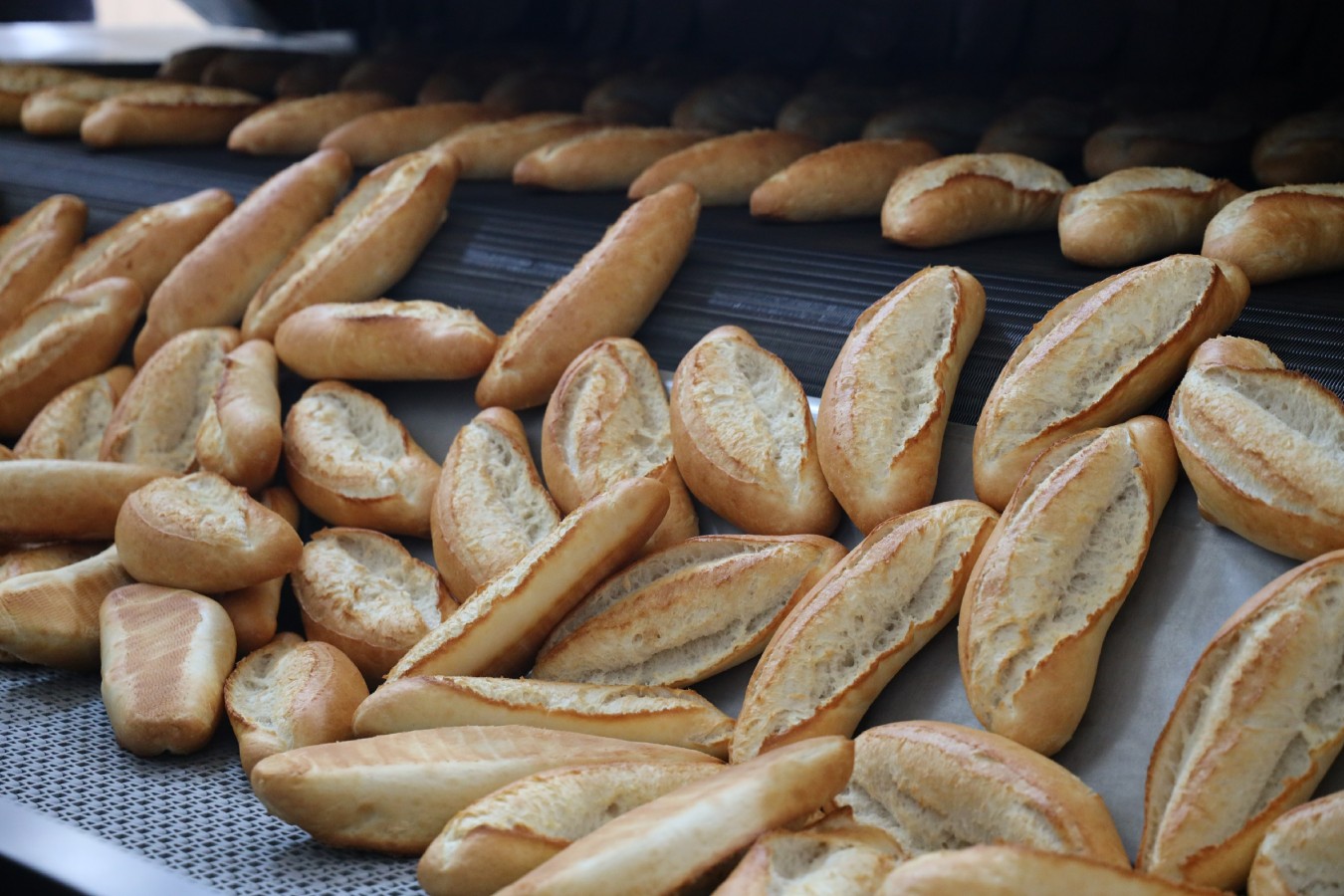 Beyazgül: Halk ekmeğe olan rağbetin nedeni projenin, halkımızın projesi olmasıdır;