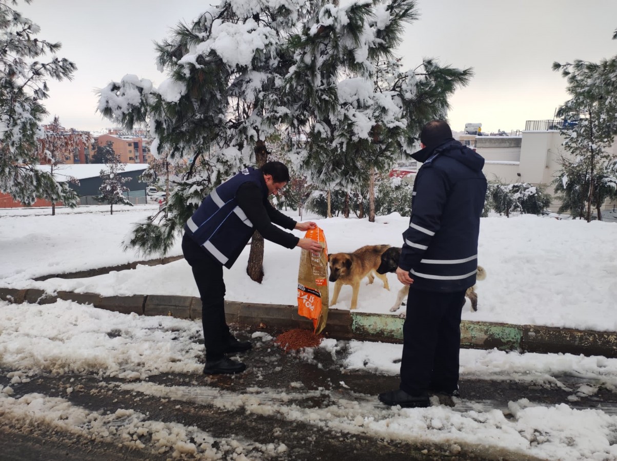 Eyyübiye Belediyesi sokak hayvanlarını unutmadı!;