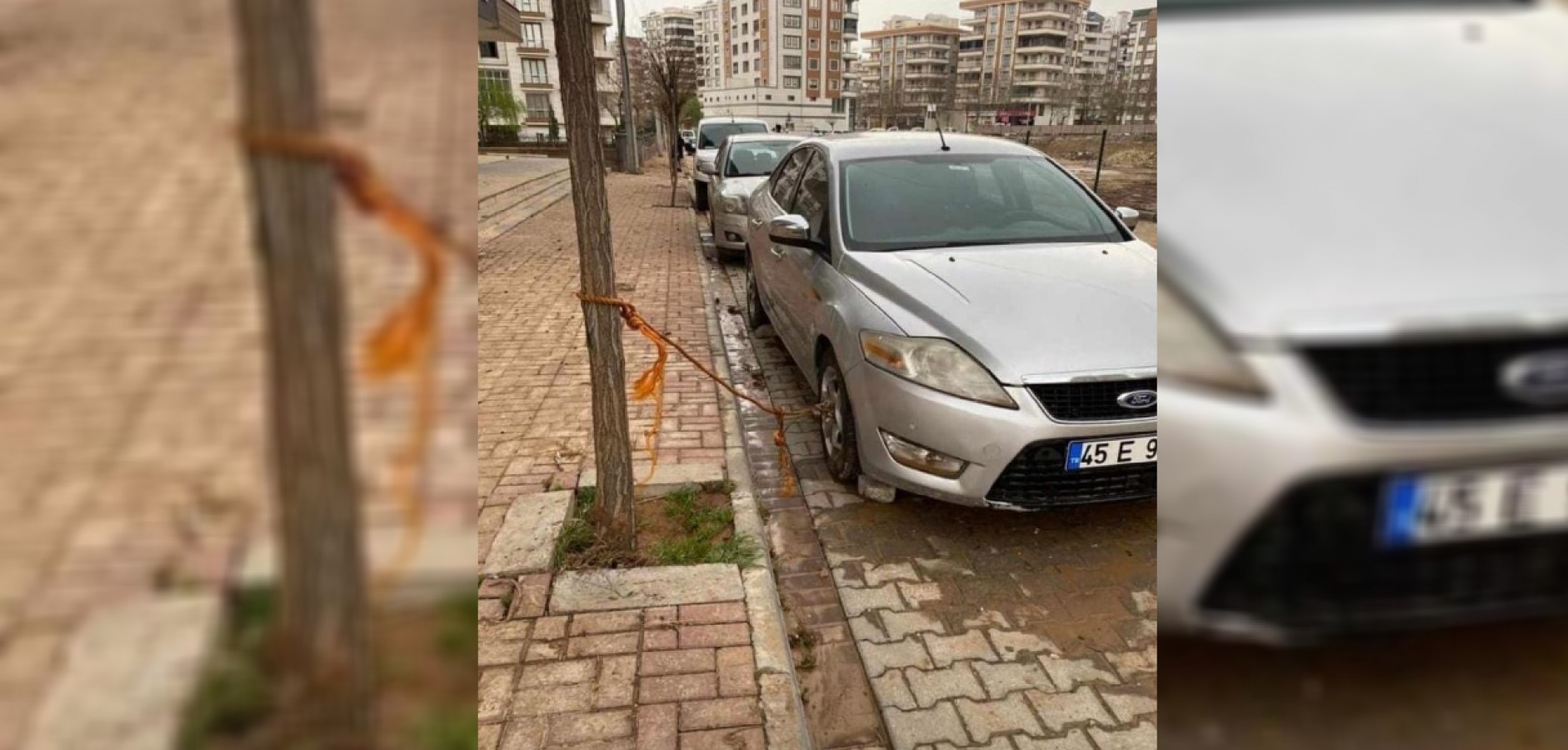 Urfa'da sel önlemi! Arabasını ağaca bağladı;