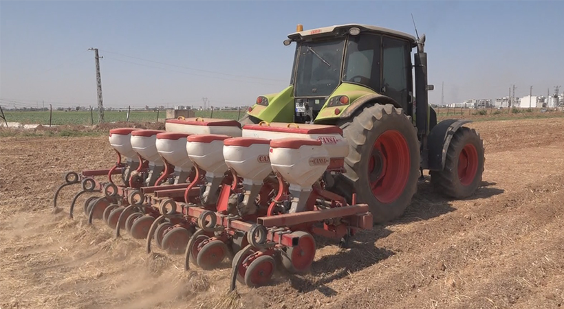 Büyükşehir Belediyesi 250 dekarlık alanda mısır ekimine başladı;