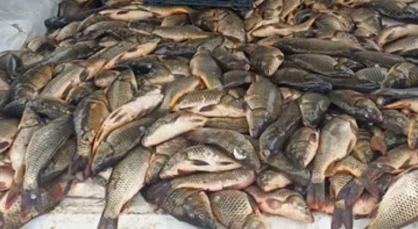 Urfa’da kaçak avlanan balıkçıya 16 bin 561 lira para cezası kesildi