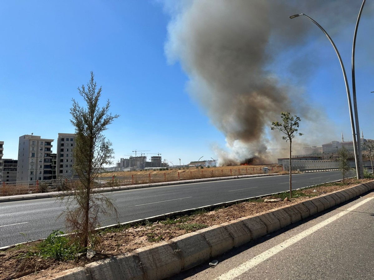 Urfa'da kuru ot yangını;