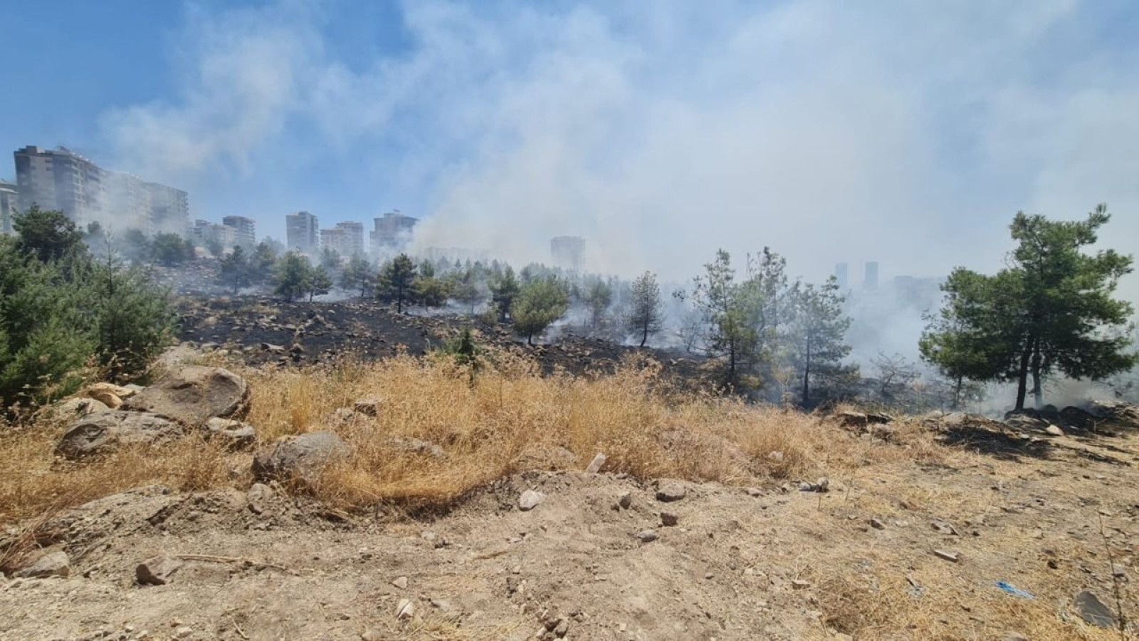 Urfa'da orman yangını olayına karışan şahıs tutuklandı;