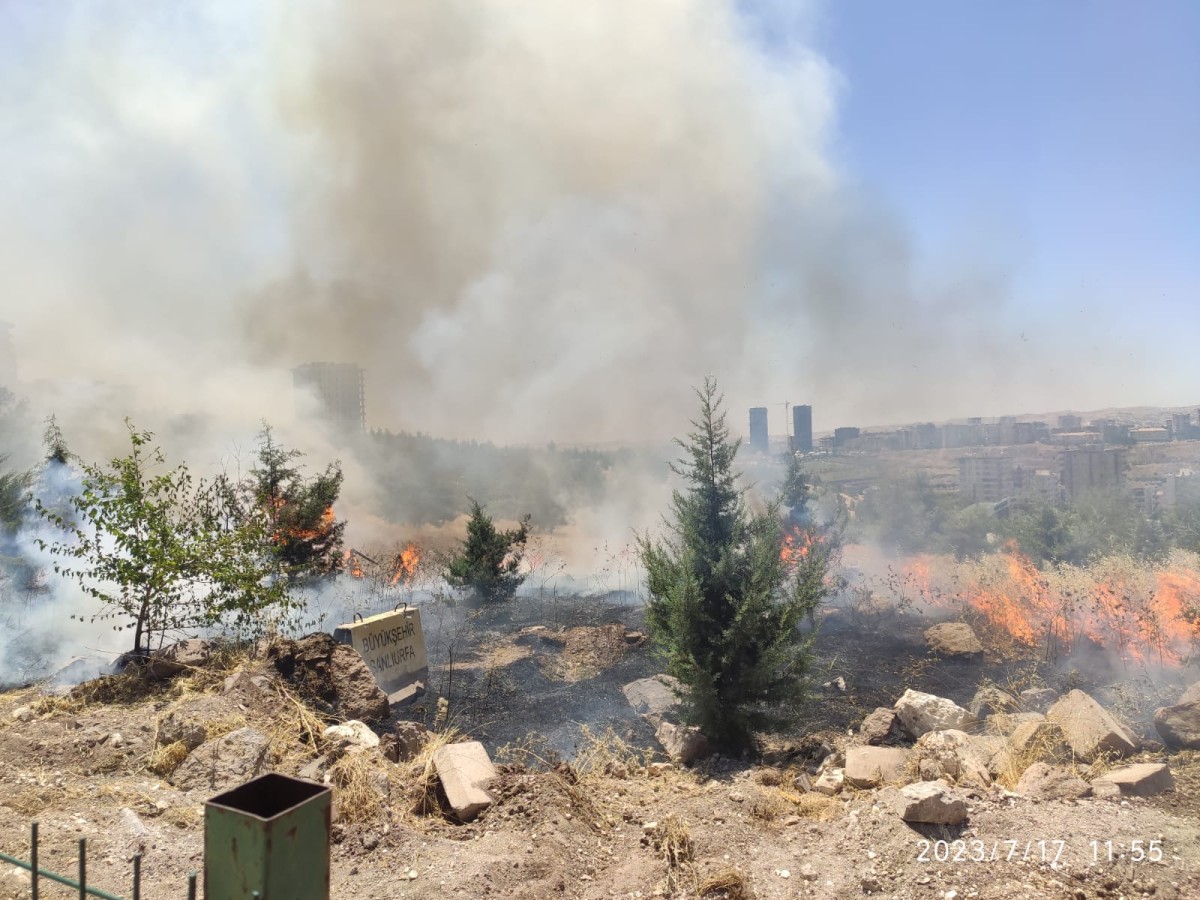 Urfa’da ormanlık alanda yangın;