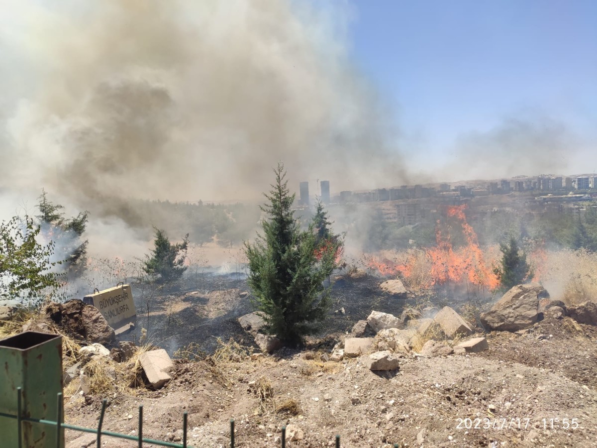 Urfa’daki orman yangınına ilişkin açıklama!;